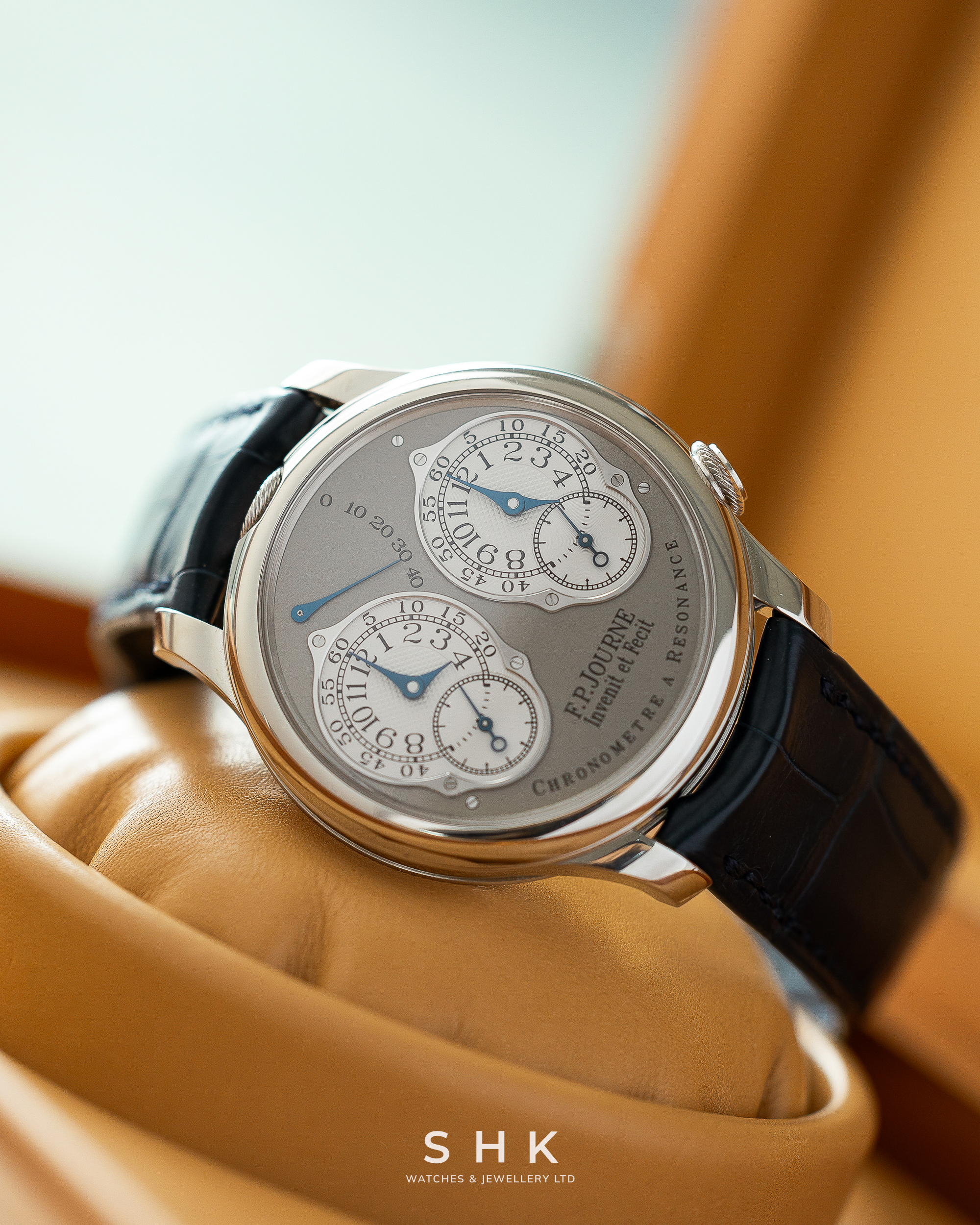 F.P.Journe Chronomètre À Résonance Ref. RN Platinum Grey Dial - Image 4