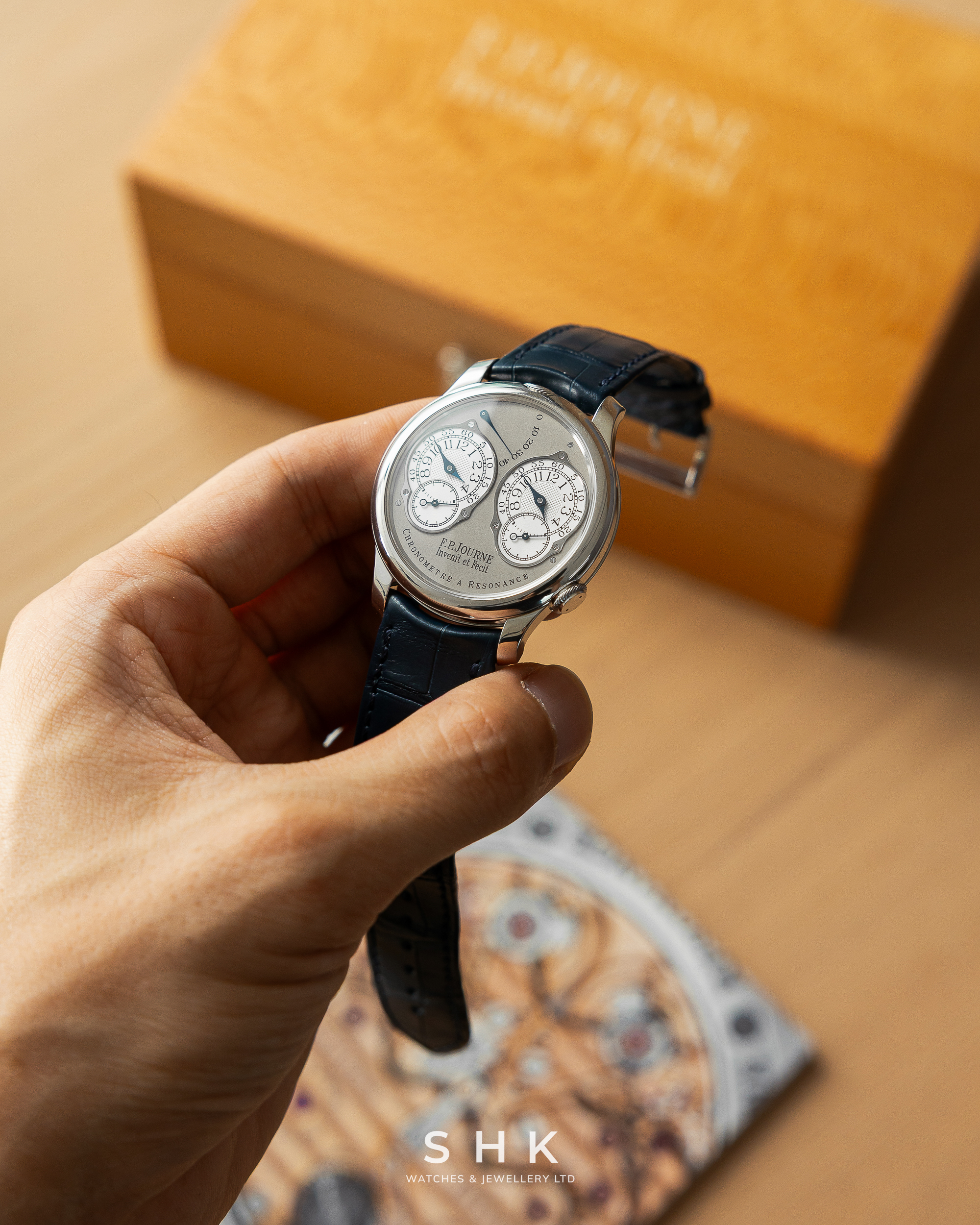 F.P.Journe Chronomètre À Résonance Ref. RN Platinum Grey Dial - Image 9