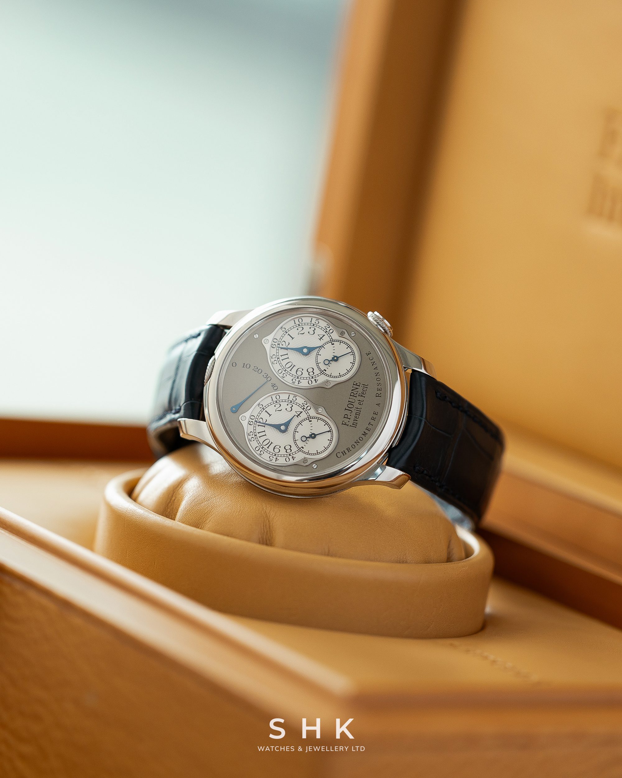 F.P.Journe Chronomètre À Résonance Ref. RN Platinum Grey Dial - Image 3